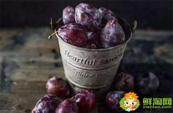 新鲜西梅的功效与作用禁忌,新西梅有什么好处