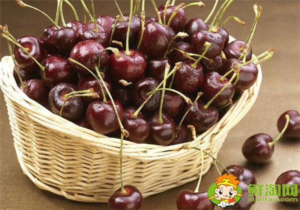 智利樱桃什么时候成熟,智利樱桃品种排名