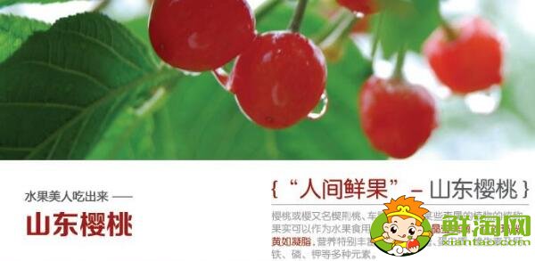 北方樱桃什么时候成熟,北方好吃最畅销的樱桃品种排名