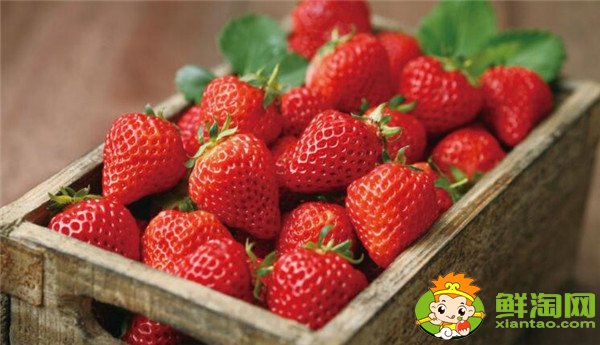 怀孕不能吃什么水果,怀孕能吃什么水果