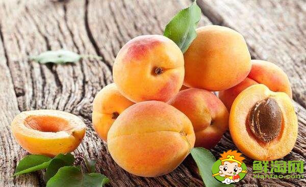 怀孕不能吃什么水果,怀孕能吃什么水果