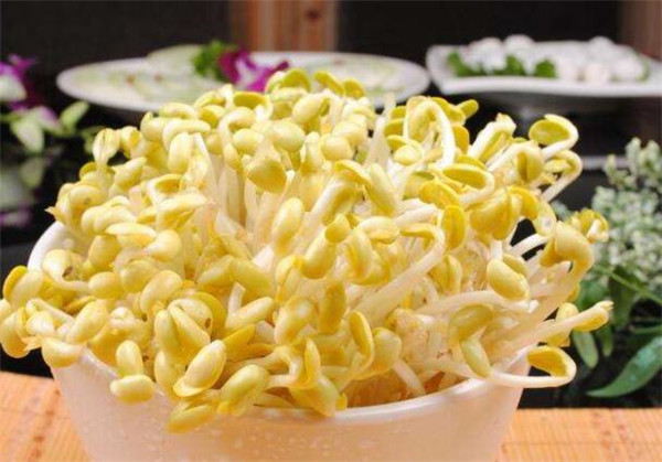黄豆芽怎么发最快又好,黄豆芽怎么发