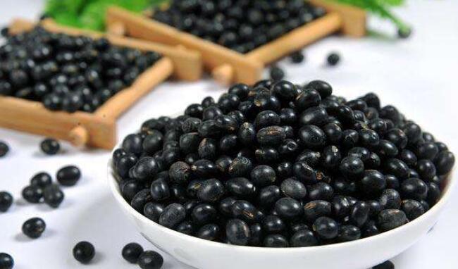 黑豆产地在哪里,黑豆的栽培区域