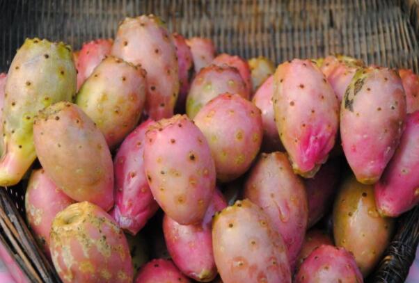 仙人掌果泡水喝有什么作用,仙人掌果泡水喝有什么好处