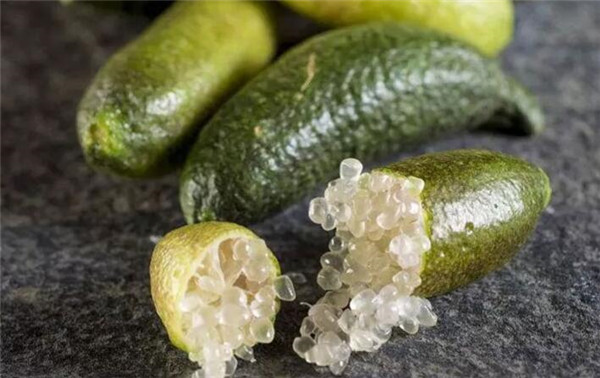 澳洲指橙什么季节有,澳洲指橙需要修枝吗