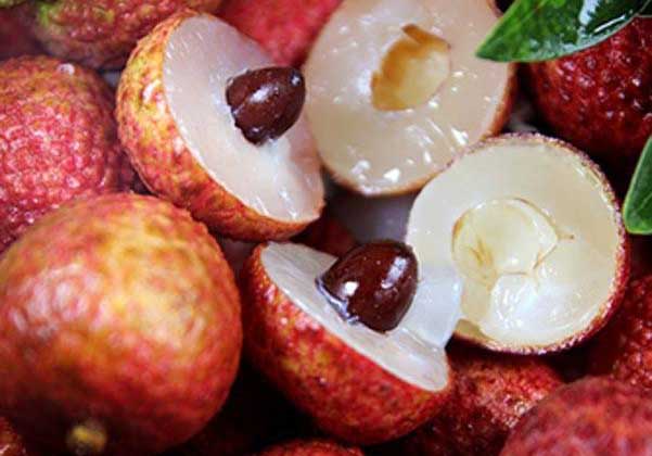 荔枝核能吃吗,荔枝核放在土里能发芽吗