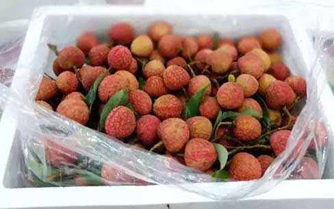 荔枝冷冻能保存多久，荔枝最新保鲜方法