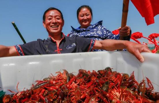 我国知名的小龙虾产地有哪些,我国最著名的小龙虾产地是哪里