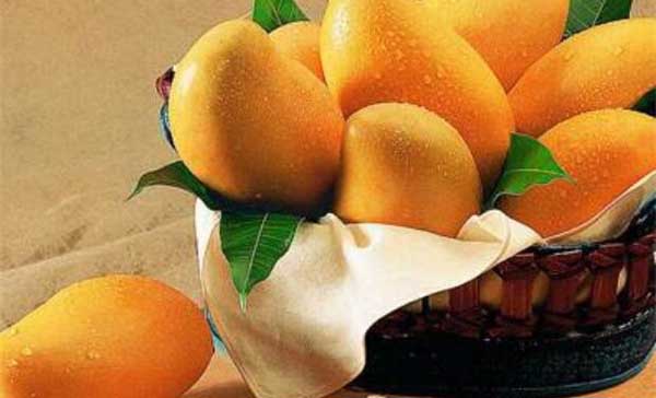 小孩芒果吃多了会怎么样,芒果为什么会利尿