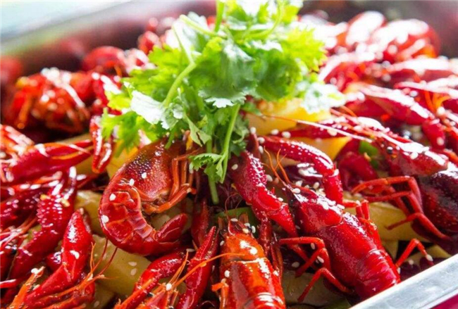 钓小龙虾的季节,武汉小龙虾季节是几月