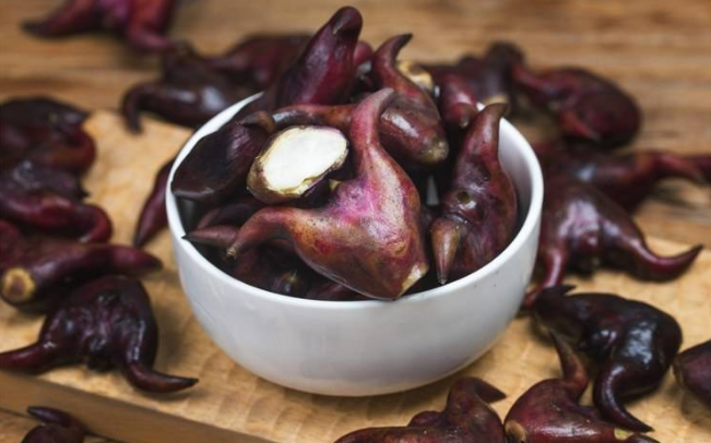 菱角煮多长时间才能熟,菱角怎么煮才好吃