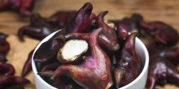 菱角在水里种几月份播种,5月份还来得及种菱角