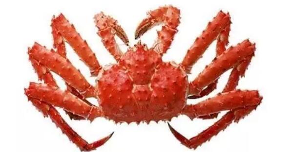 帝王蟹是螃蟹吗,帝王蟹是世界上最大的螃蟹吗