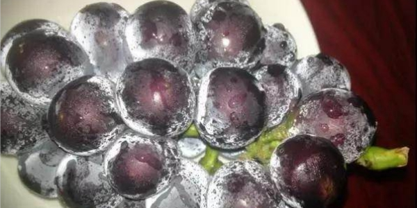 夏黑葡萄皮可以吃吗,葡萄皮不好剥什么原因