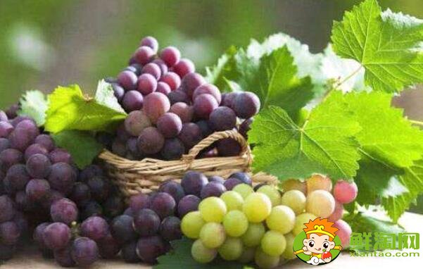 小朋友吃葡萄的好处,吃葡萄上火吗