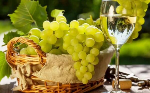 吃葡萄的好处有哪些,吃葡萄的最佳时间