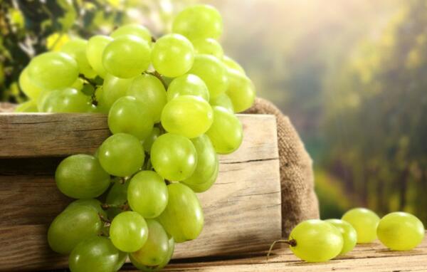 吃葡萄能减肥吗,晚上吃葡萄会胖吗