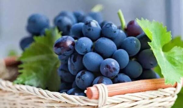 吃葡萄皮的好处,吃葡萄对皮肤的好处