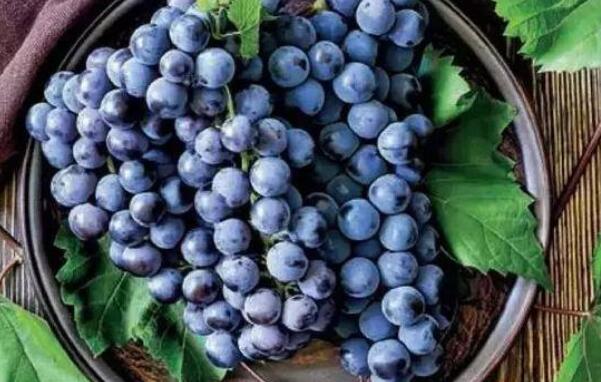 吃葡萄皮的好处,吃葡萄对皮肤的好处