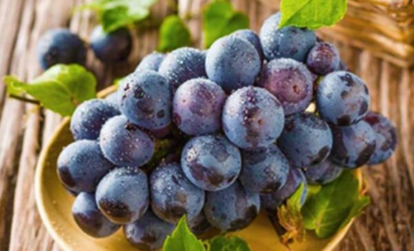 夏黑葡萄是凉性的吗,夏黑葡萄的功效与作用