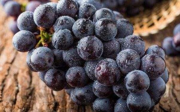 夏黑葡萄是提子吗,夏黑葡萄好吃吗