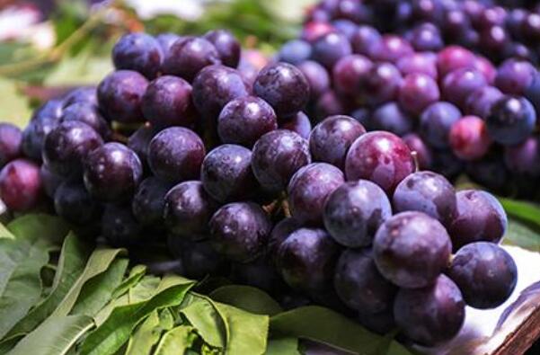吃夏黑要吐皮吗,夏黑葡萄上色早熟配方