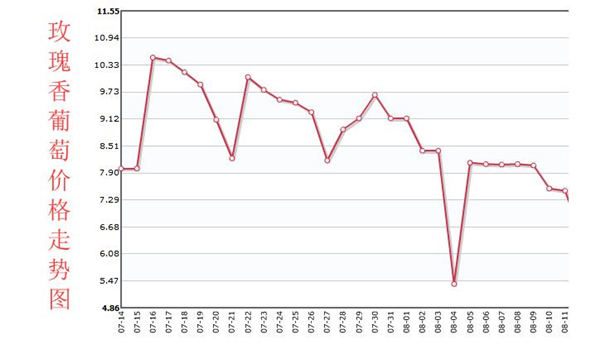 玫瑰香葡萄多少一斤,玫瑰香葡萄价格