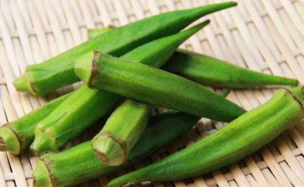 秋葵长多高就结果子了,秋葵怎么长出来就老了