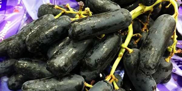 美国金手指黑提多少钱一斤,美国金手指葡萄苗价格