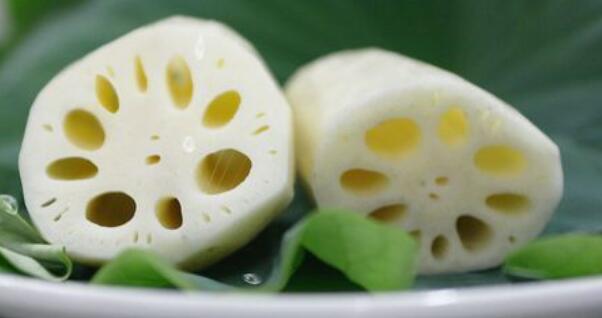 南沙新垦莲藕哪里有卖,南沙新垦莲藕那里购买