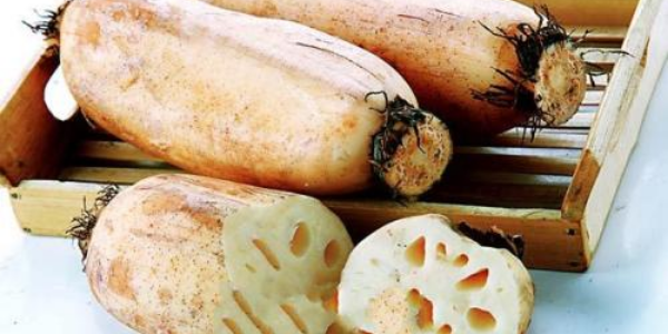 新垦莲藕什么季节上市,新垦莲藕和洪湖莲藕哪个好