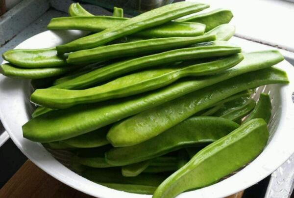 四季豆是什么豆角,和四季豆长得像是什么豆角