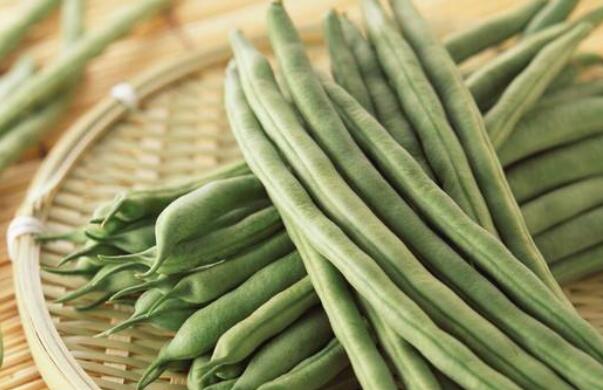 四季豆是什么豆角,和四季豆长得像是什么豆角