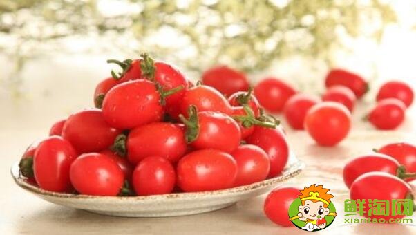 春桃圣女果未全红能吃吗,春桃和圣女果哪个有营养