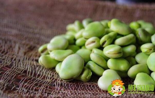 芸豆跟蚕豆是一样的吗,芸豆和蚕豆的区别