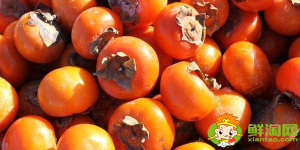 辽宁柿子产地在什么地方,辽宁水果小柿子产地