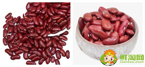红芸豆和红腰豆的外观区别,红芸豆和红腰豆的区别在哪