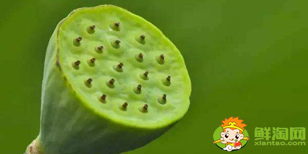 什么品种莲蓬最好吃,水果莲蓬有哪些品种最好