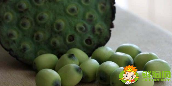 专吃莲蓬的是什么品种,新鲜的莲子怎么吃最好