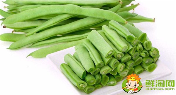 四季豆是什么时候种的,四季豆什么时候种最好