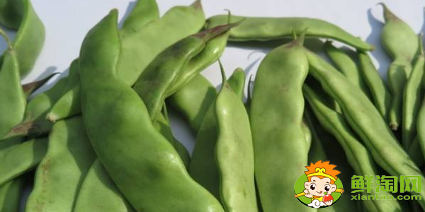 油豆角怎么挑选,油豆角怎么处理