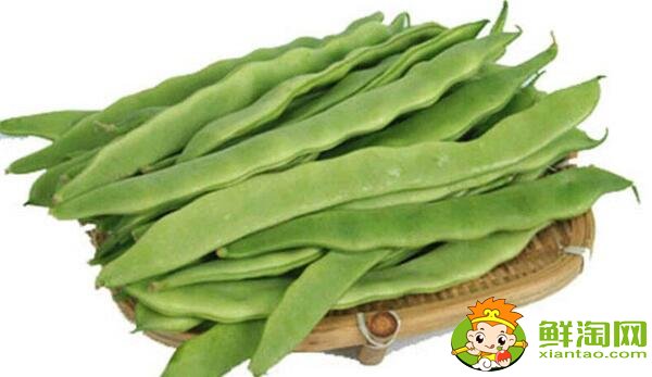 刀豆是扁豆吗,白扁豆和芸豆有什么区别