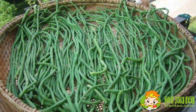 干豆角怎么晒干成绿色,晒干的干豆角可以放冰箱吗