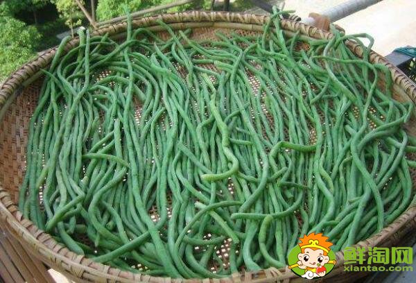 怎样晒干豆角不发黄,干豆角怎么晒不变色
