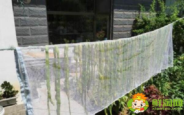 怎样晒干豆角不发黄,干豆角怎么晒不变色