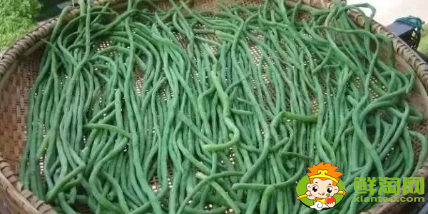 干豆角是怎么做的,生着晒干豆角行吗