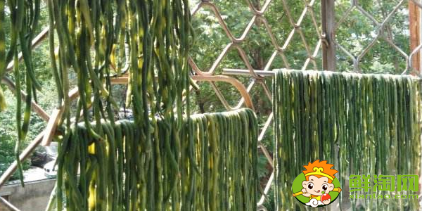 东北干豆角怎么晒,晒干豆角遇到雨天怎么办