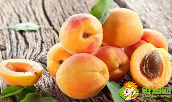 吃杏子要剥皮吗，做杏子罐头要剥皮吗