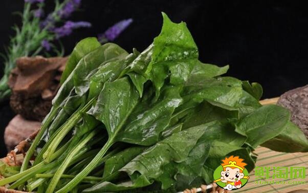 什么月份吃菠菜,菠菜一年能种几次