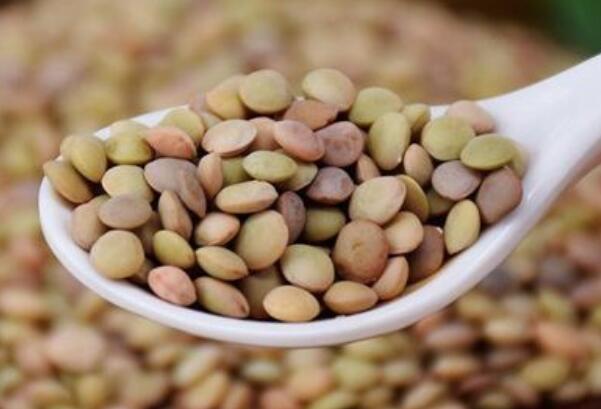 小扁豆一天吃多少合,小扁豆当主食一顿吃多少克